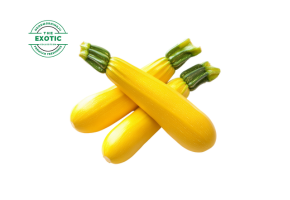 Yellow Zucchini - Exotic